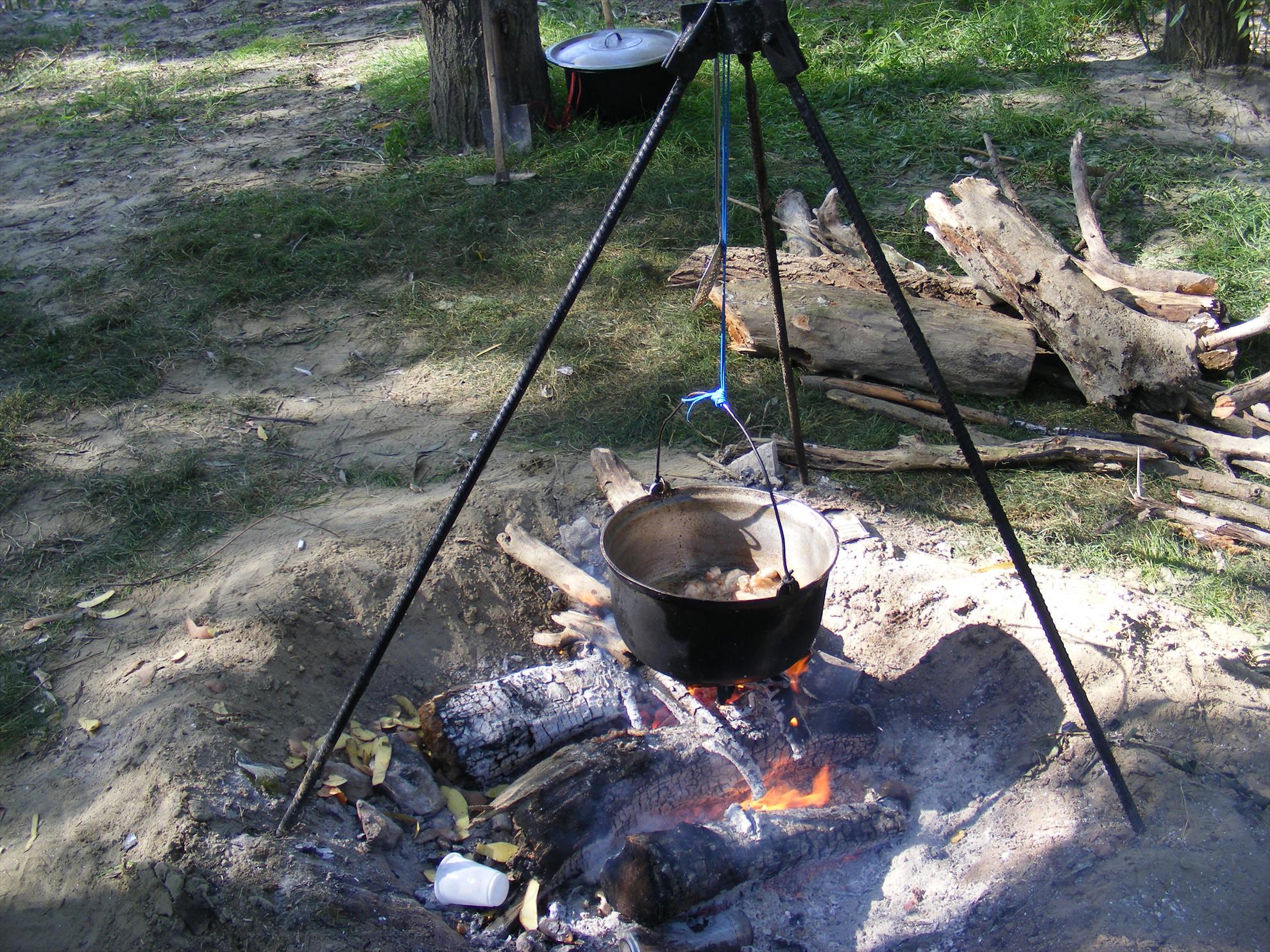 dunarea - dscf0102.JPG